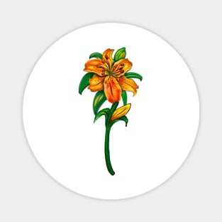 Flowers of spring Lily Lilly flower painting 2 -  orange tiger lily with green leaves and stem Botanical Garden Gardener Gardening Lillies Magnet